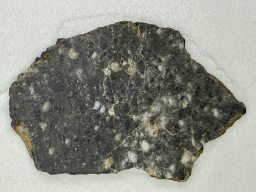 Bechar 003 lunar meteorite 3.30g -- polymict brecciated texture showing plagioclase-rich clasts in impact-processed matrix