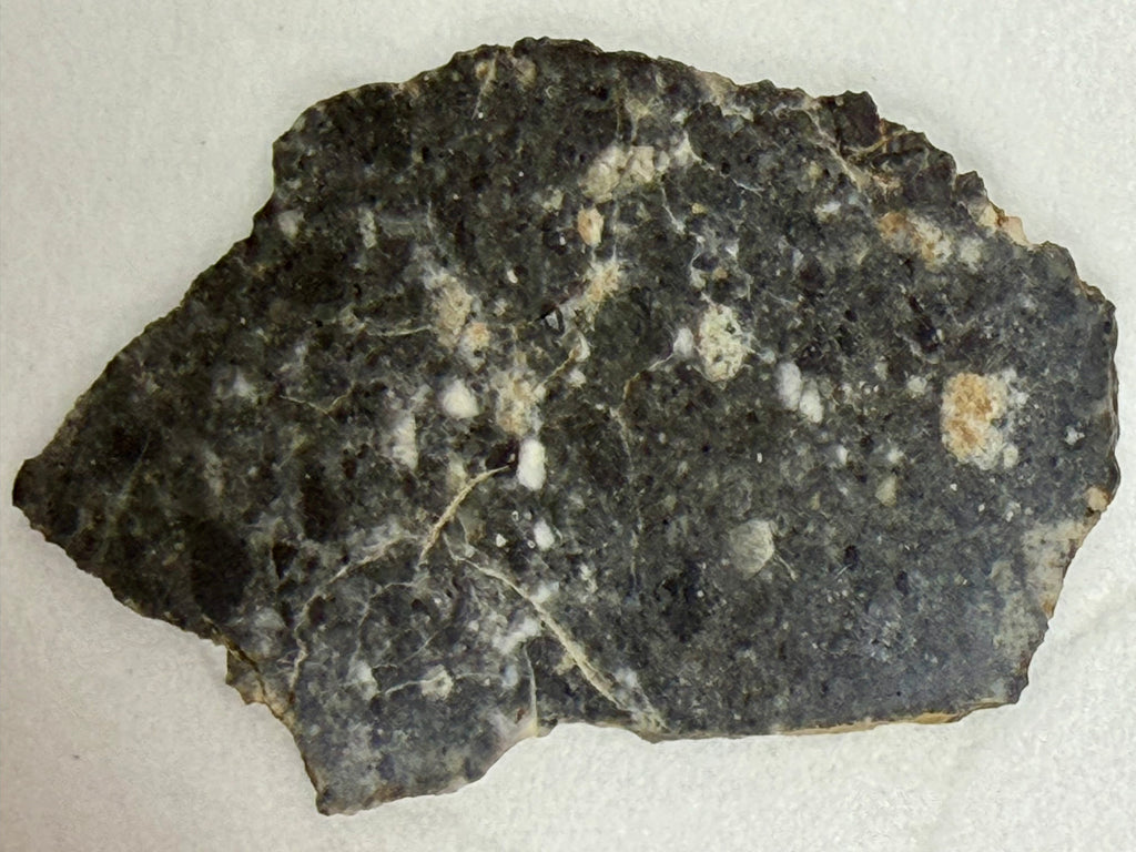 Bechar 003 feldspathic breccia 3.30g -- complete slice cross-section displaying lunar highland crustal material with visible 