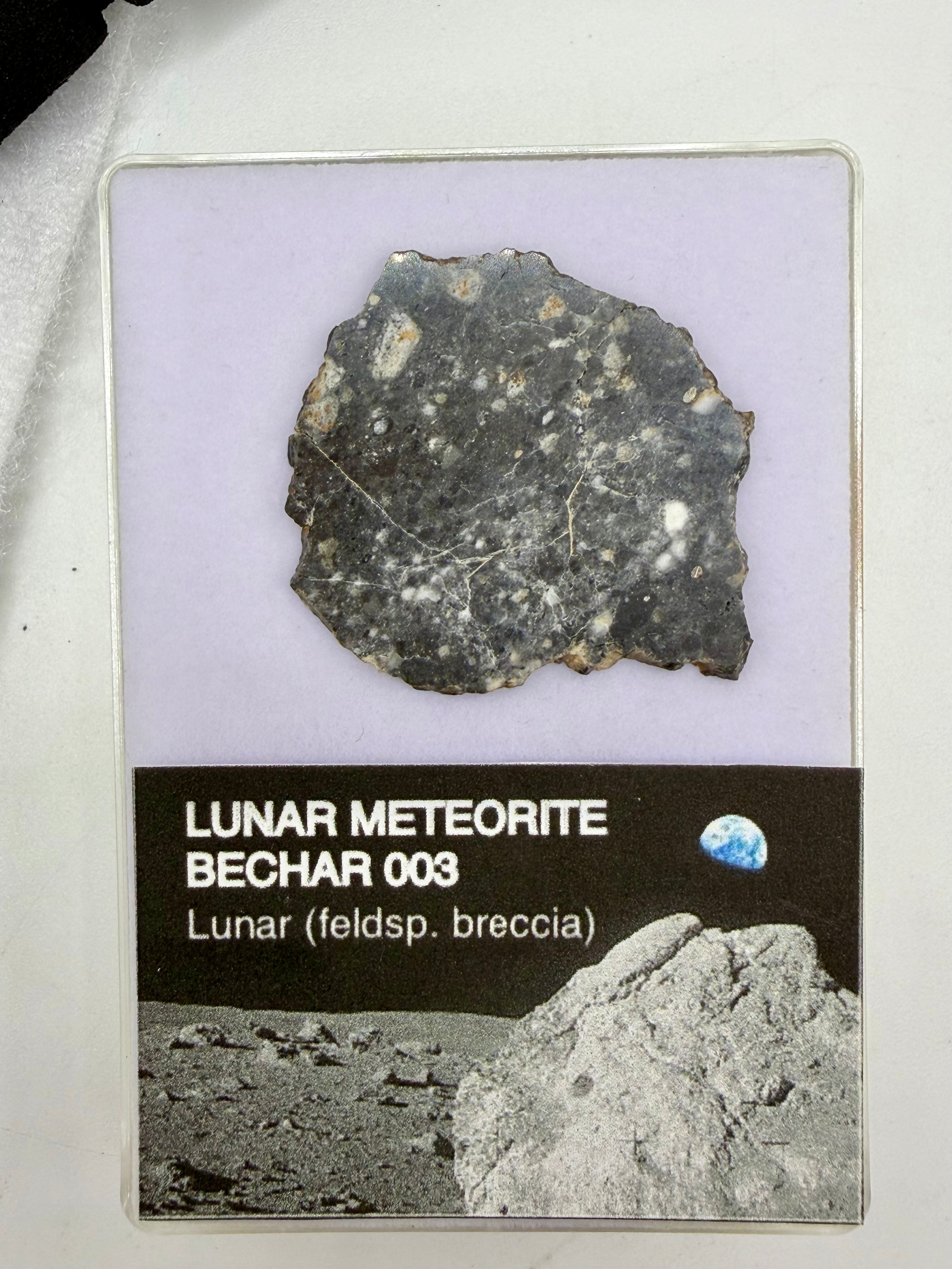 Bechar 003 Lunar Meteorite - Feldspathic Breccia Moon Rock Full Slice 4.80g w/COA & Display Box