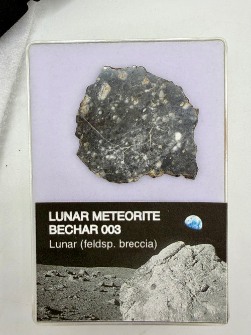 Bechar 003 lunar feldspathic breccia meteorite slice 4.80g -- Moon rock achondrite, Treasure Coast Meteorite Co.