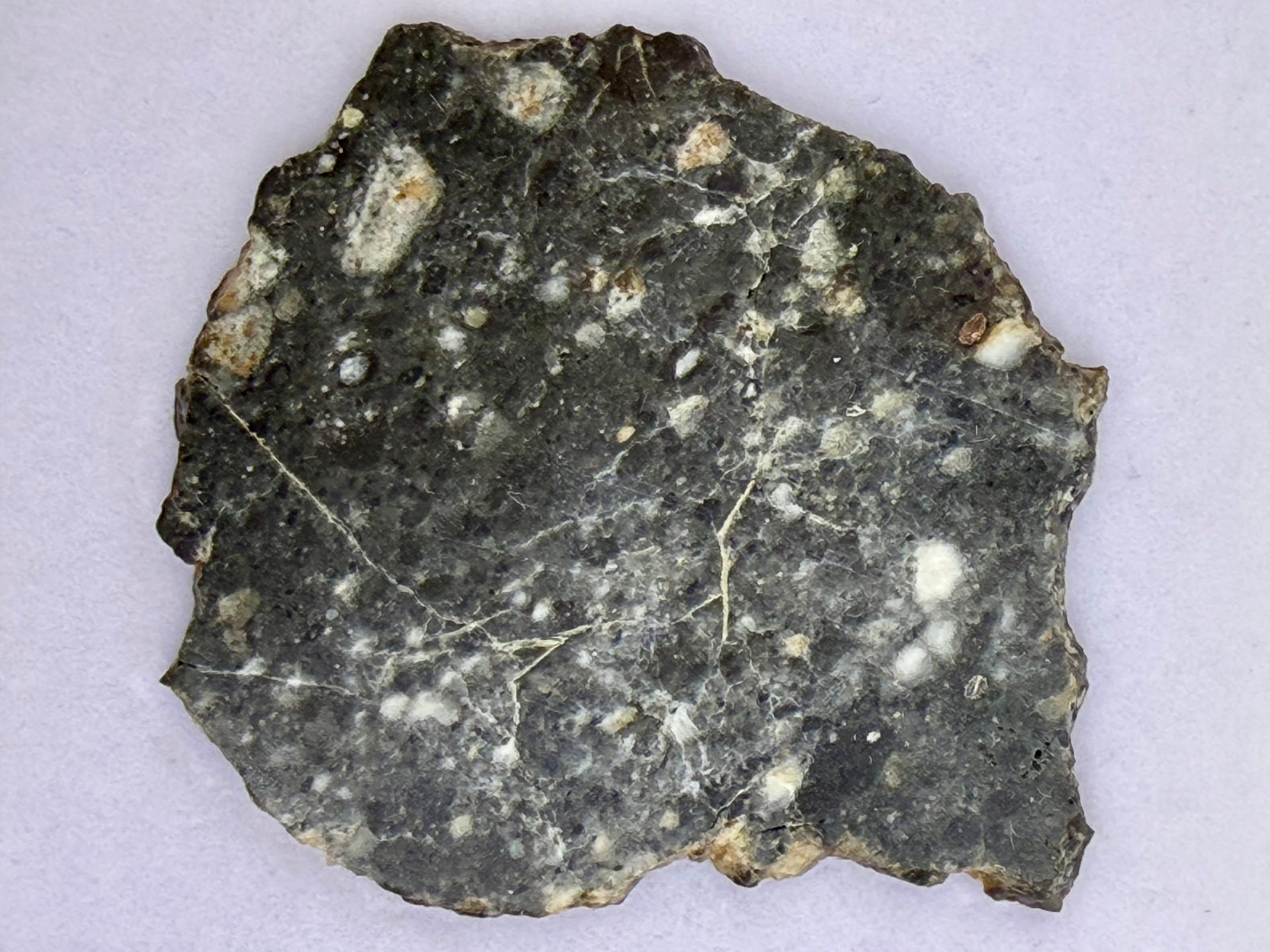 Bechar 003 Lunar Meteorite - Feldspathic Breccia Moon Rock Full Slice 4.80g w/COA & Display Box
