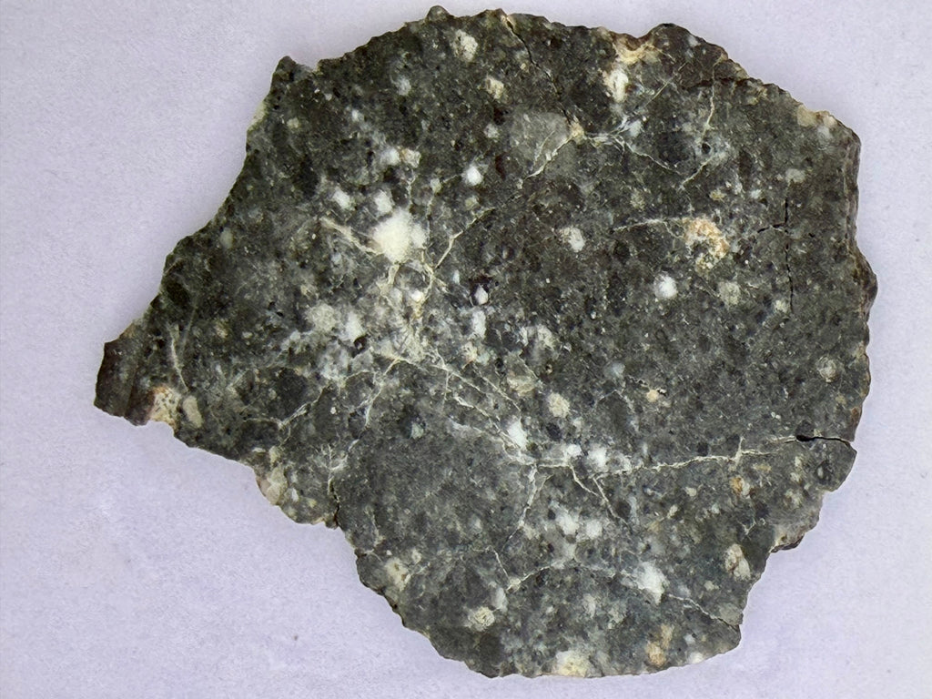 Bechar 003 feldspathic breccia 4.80g -- complete slice showing heterogeneous lunar highland material