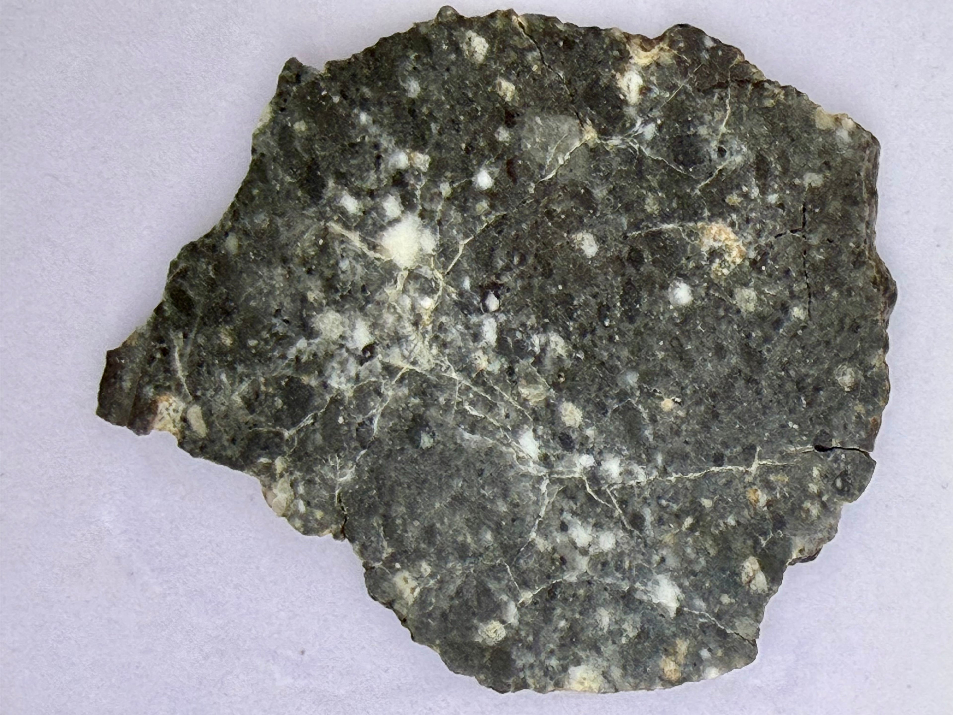 Bechar 003 Lunar Meteorite - Feldspathic Breccia Moon Rock Full Slice 4.80g w/COA & Display Box