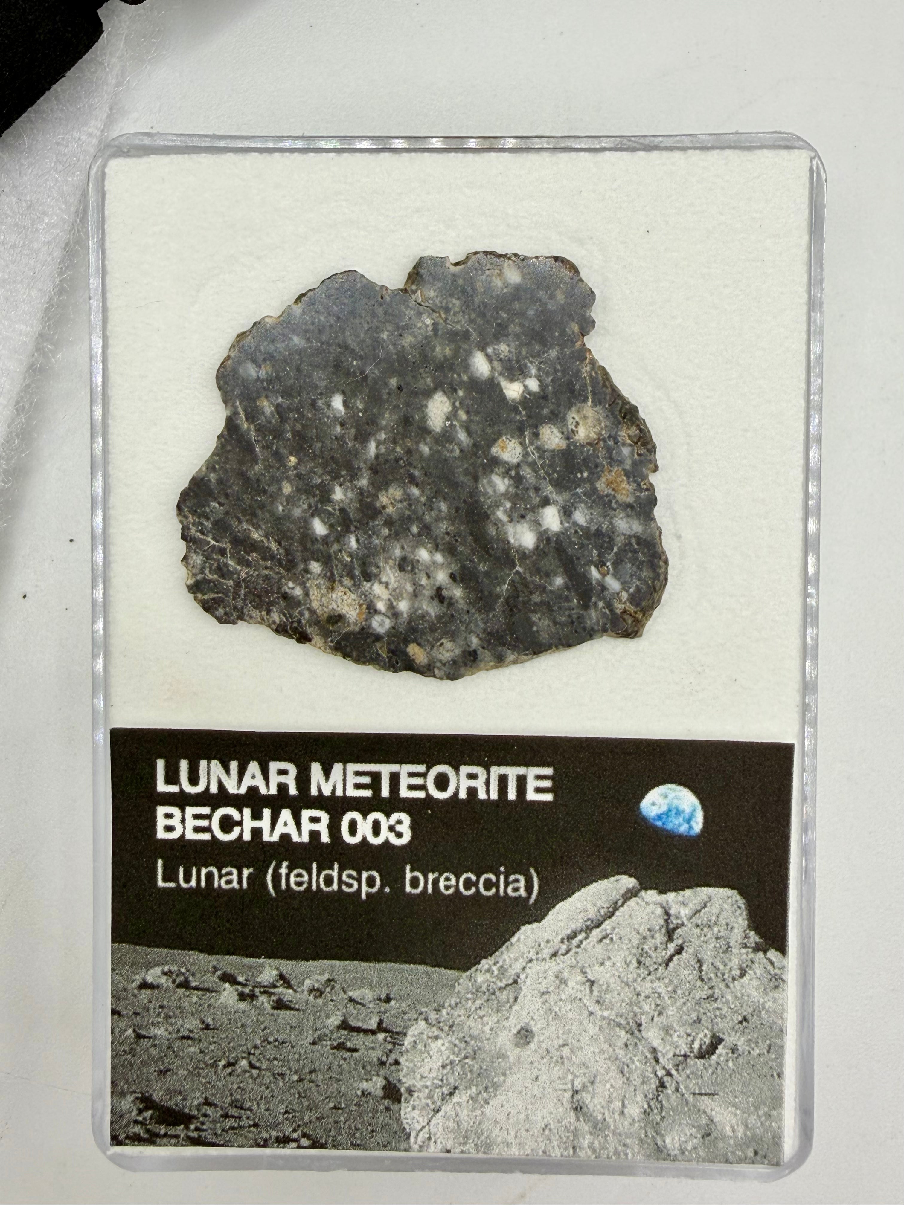 Bechar 003 Lunar Meteorite - Feldspathic Breccia Moon Rock Full Slice 4.75g w/COA & Display Box