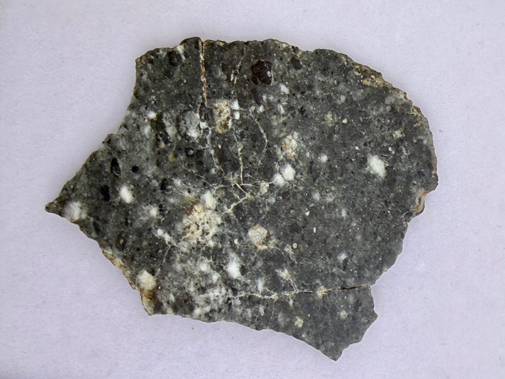 Bechar 003 feldspathic breccia 3.63g -- light-colored plagioclase-rich lunar highland material with impact fragments