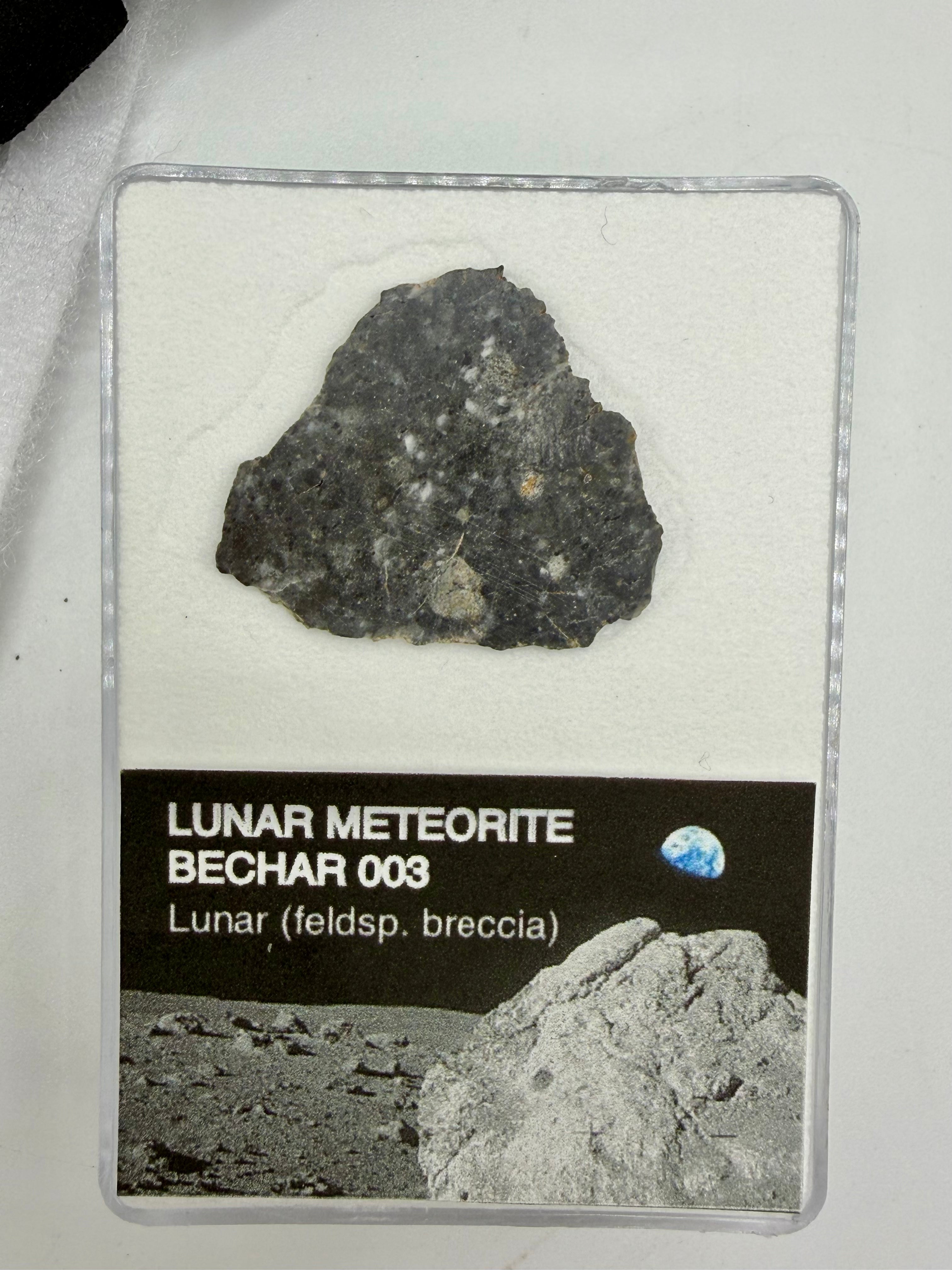 Bechar 003 Lunar Meteorite - Feldspathic Breccia Moon Rock Full Slice 3.19g w/COA & Display Box