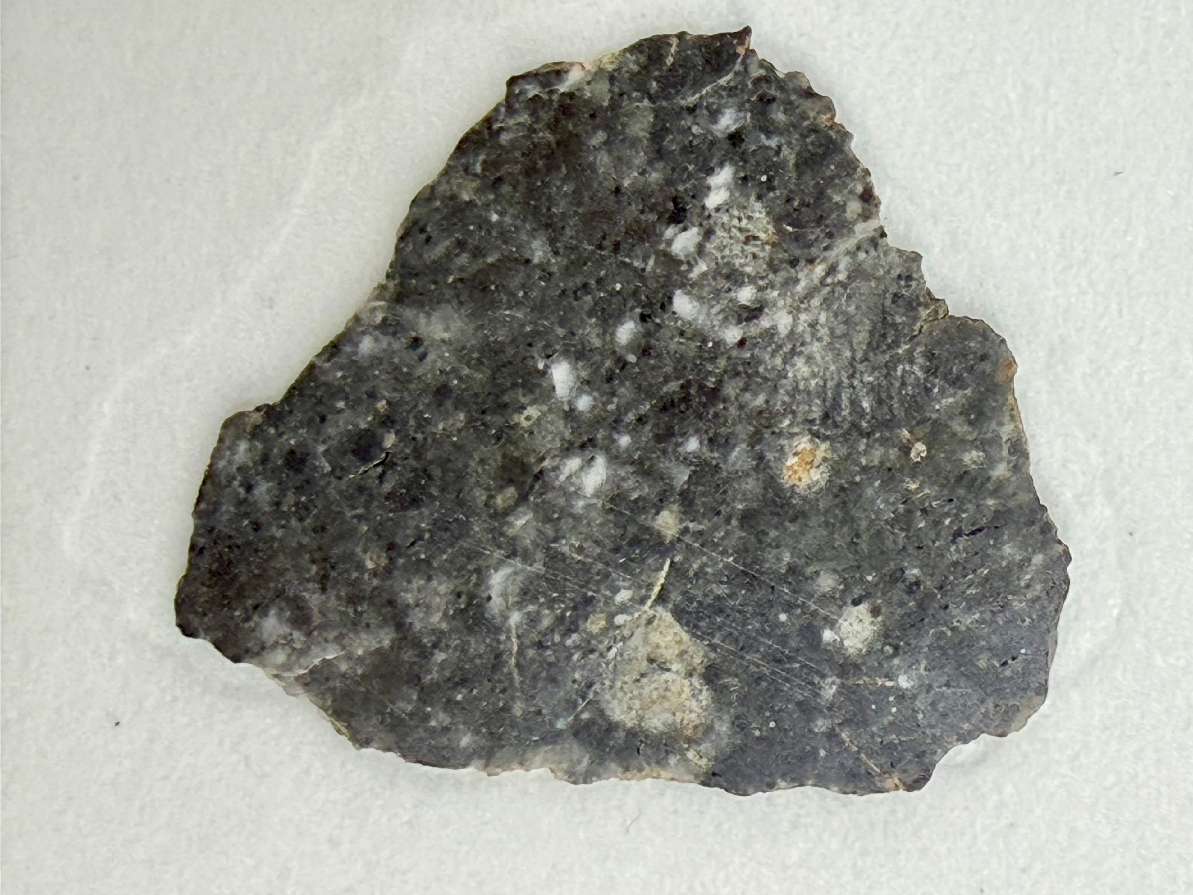 Bechar 003 Lunar Meteorite - Feldspathic Breccia Moon Rock Full Slice 3.19g w/COA & Display Box