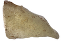 Libyan Desert Glass impactite individual 178.68g, golden yellow-green natural silica glass -- Great Sand Sea impact glass, Tr