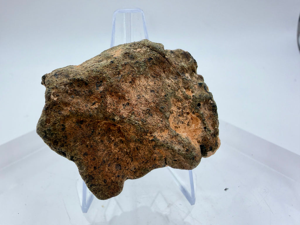 Amgala 001 shergottite 43.00g -- fusion crust and atmospheric entry features on Martian basalt