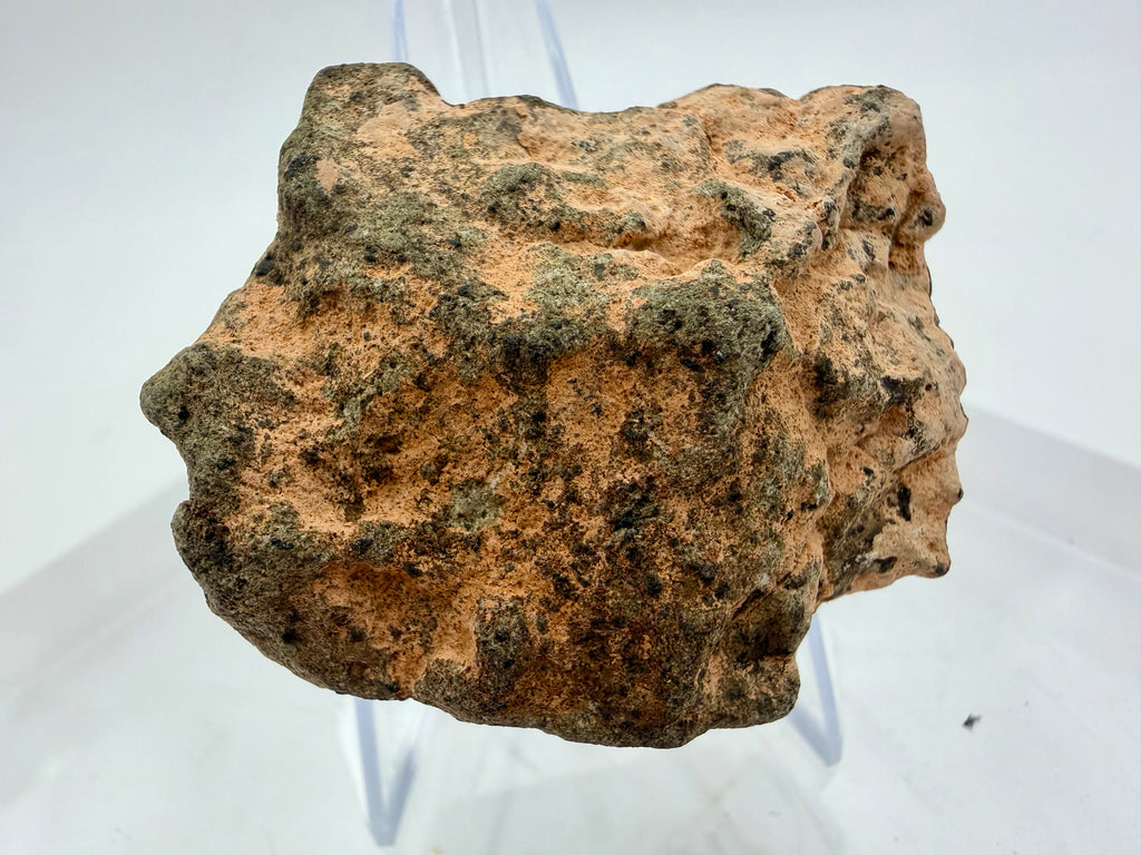 Amgala 001 Martian shergottite meteorite individual 43.00g -- basaltic achondrite from Mars, Treasure Coast Meteorite Co.