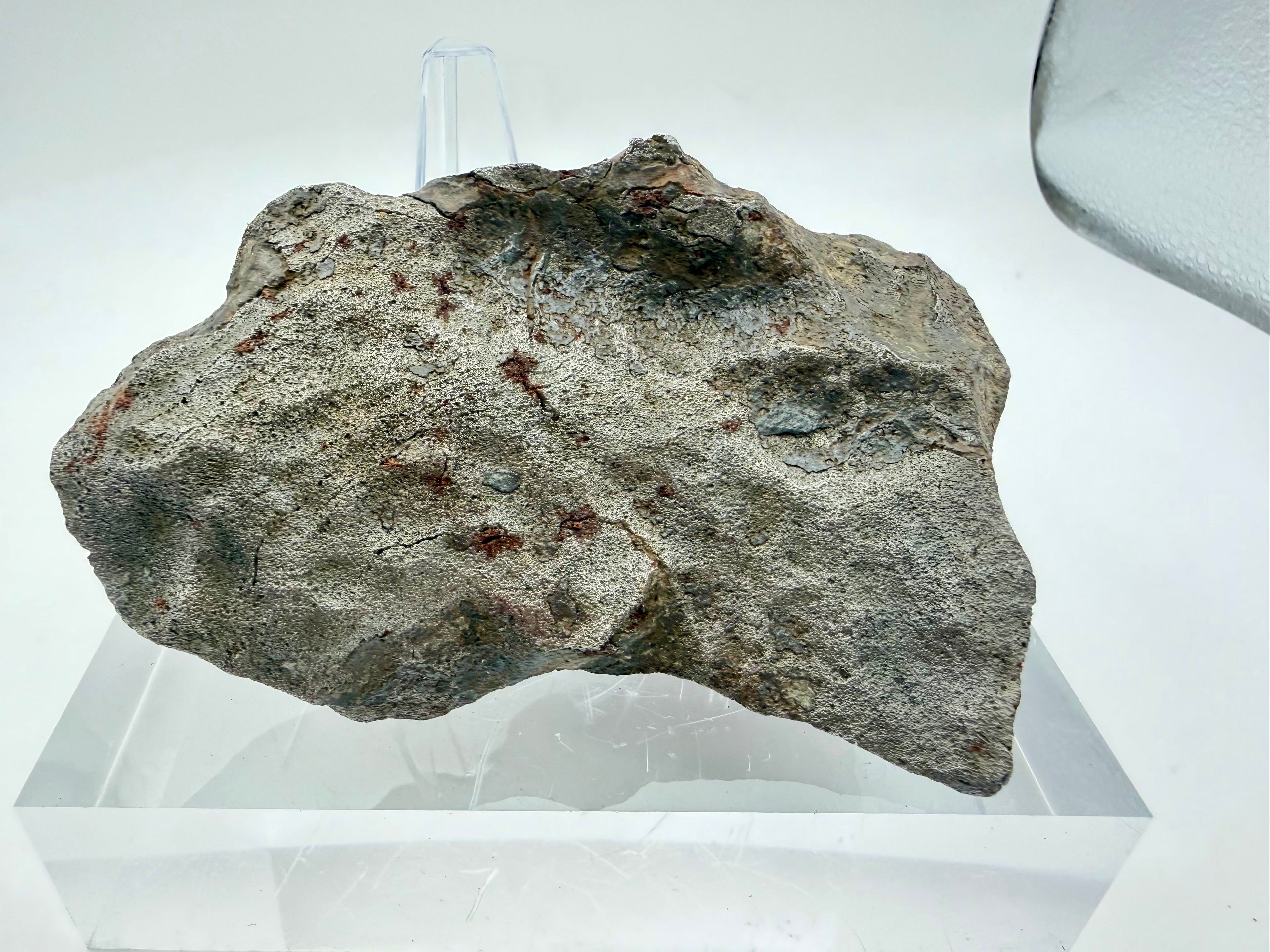 Gebel Kamil Iron Meteorite - Ungrouped Ataxite from Egypt w/COA, 430.46g