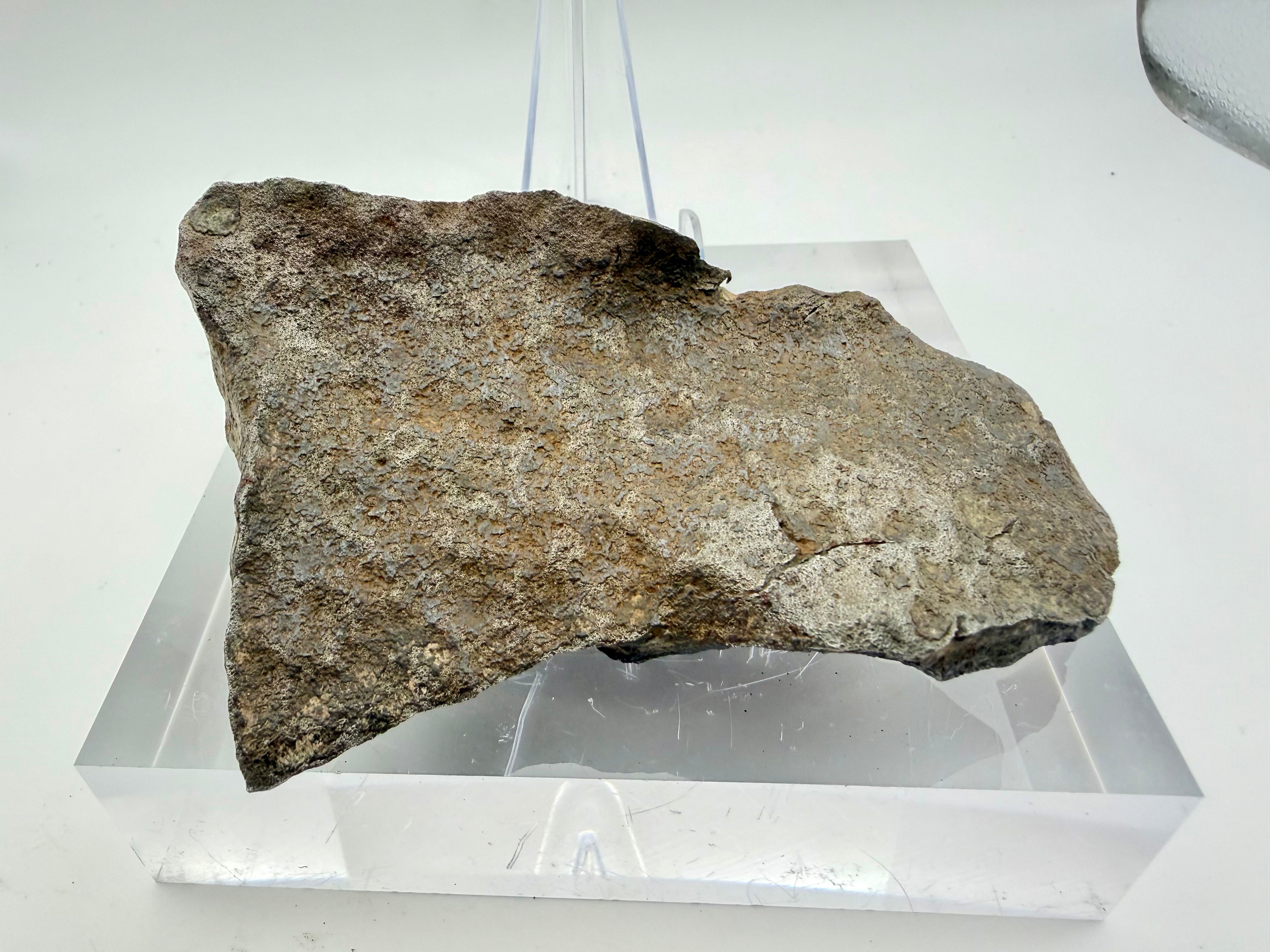 Gebel Kamil Iron Meteorite - Ungrouped Ataxite from Egypt w/COA, 430.46g