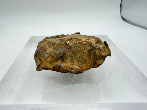 Gebel Kamil iron meteorite 224.00g -- regmaglypted surface texture with dark desert weathering patina from Eastern Desert exp