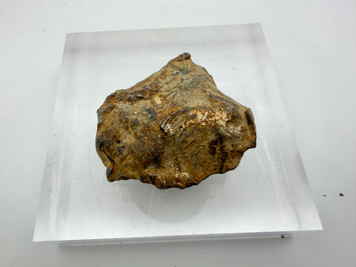Gebel Kamil ungrouped ataxite meteorite individual 224.00g, natural desert patina -- iron meteorite from Egyptian impact crat