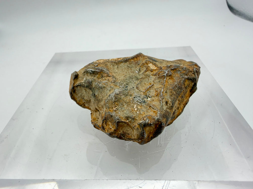 Gebel Kamil ataxite 224.00g -- natural ablation features and surface oxidation from atmospheric entry and terrestrial weather