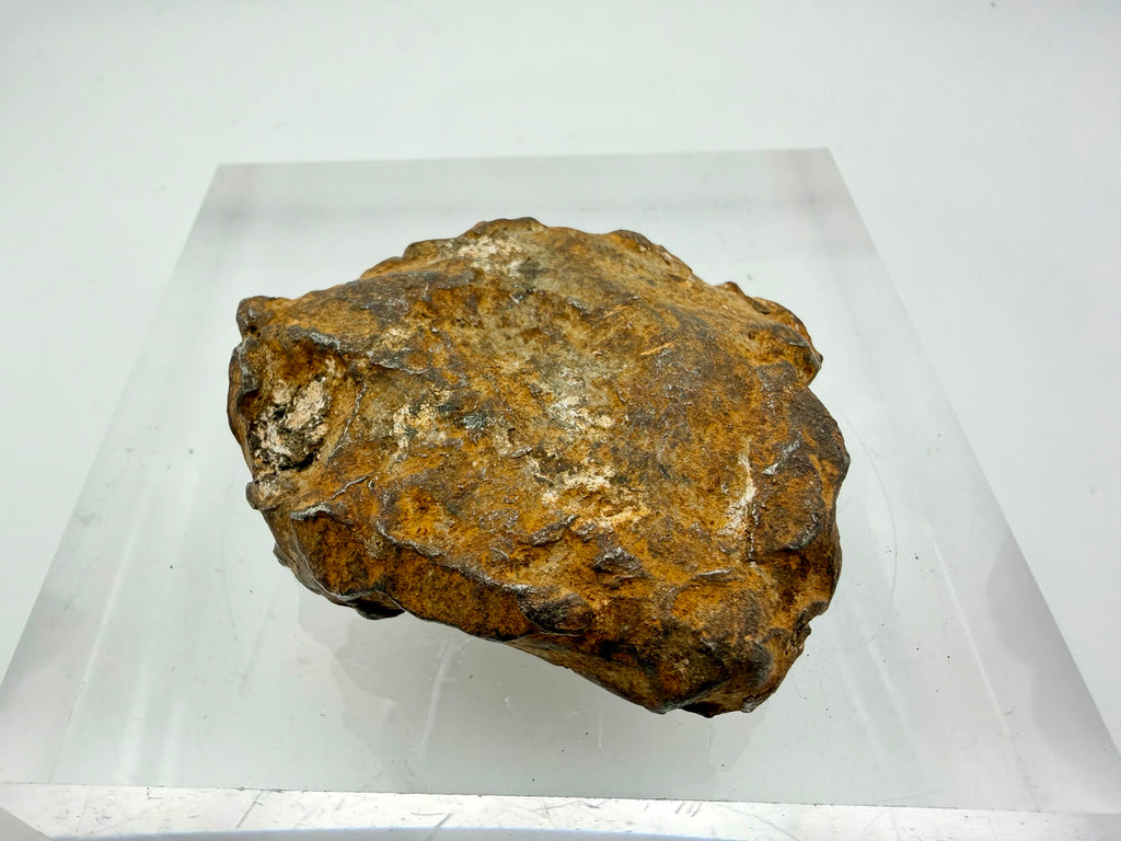 Gebel Kamil meteorite individual 224.00g -- crater-associated iron specimen showing characteristic patina and surface morphol