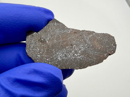 Bir Ounane 001 achondrite-prim 6.46g -- fine-grained groundmass with subtle mineralogical variations under polish