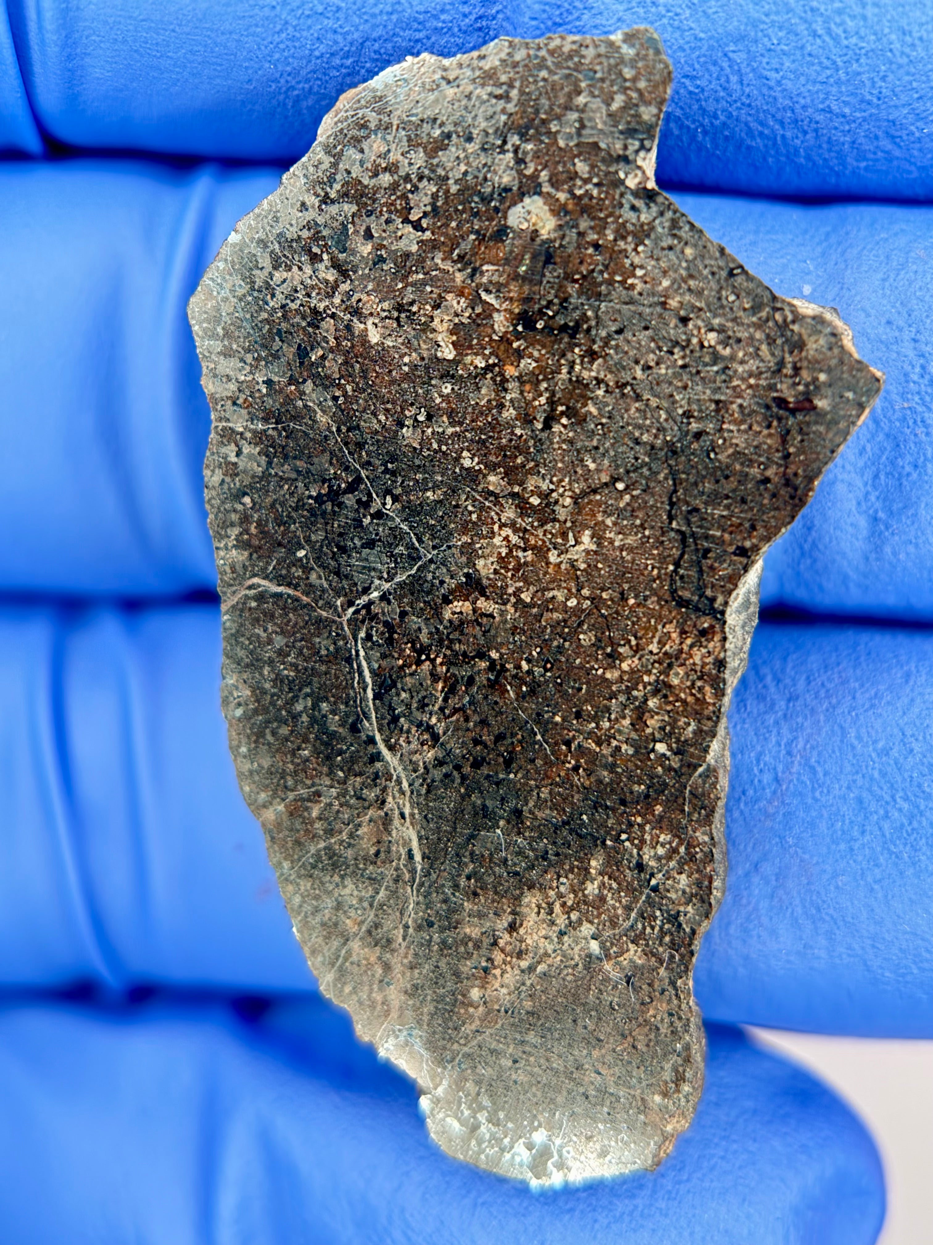 Bir Ounane 001 - Achondrite-prim (ungrouped) Slice w/COA 6.46g, rare 1 of 16 classifications