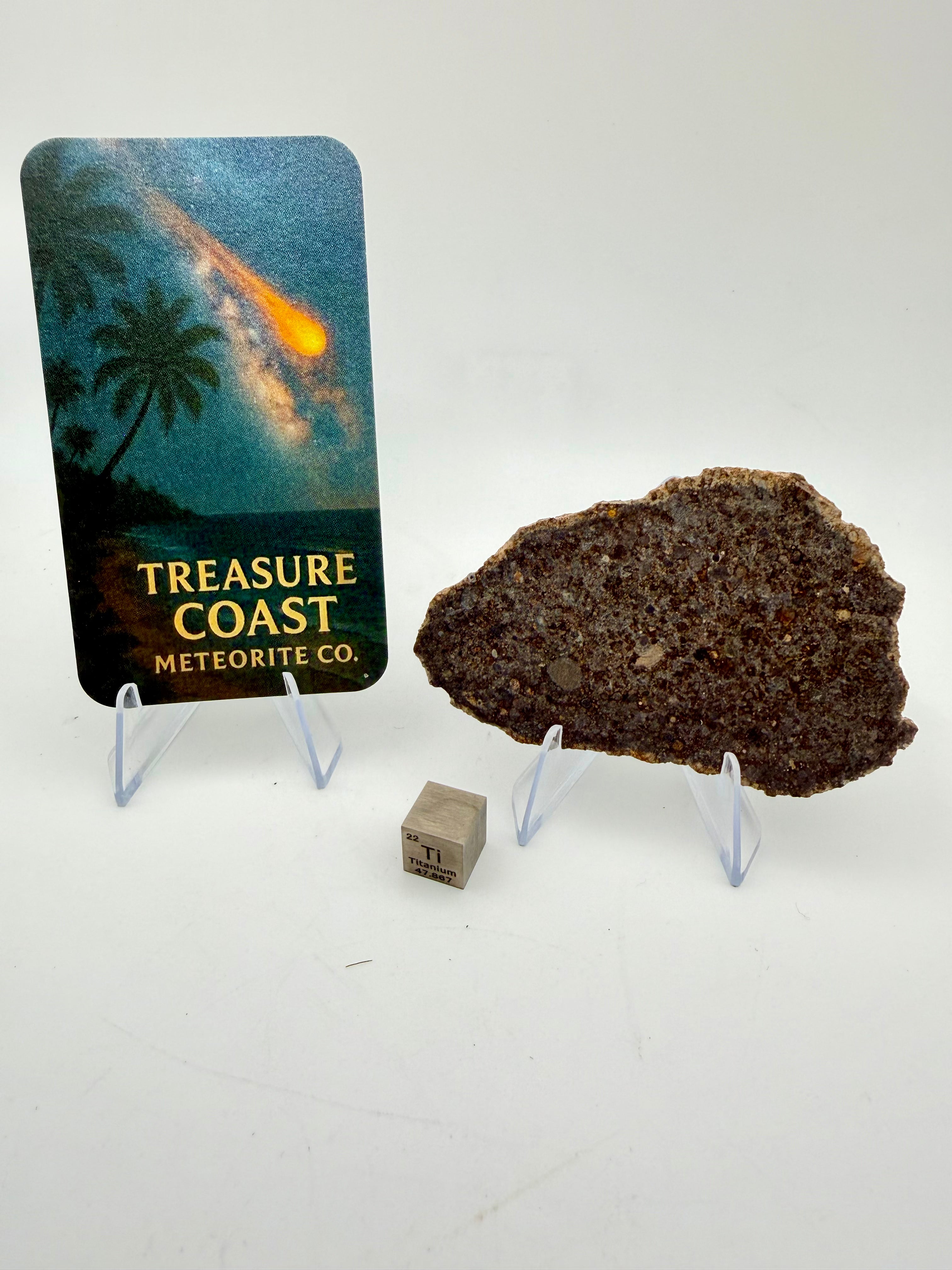 NWA 12009 LL3 ordinary chondrite meteorite slice 16.91g, polished -- primitive unequilibrated texture, Treasure Coast Meteori