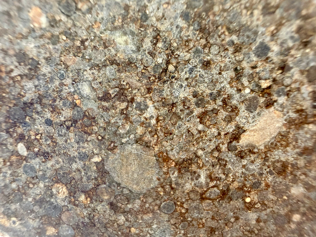 NWA 12009 ordinary chondrite 16.91g -- Type 3 unequilibrated texture with visible spherical chondrule cross-sections