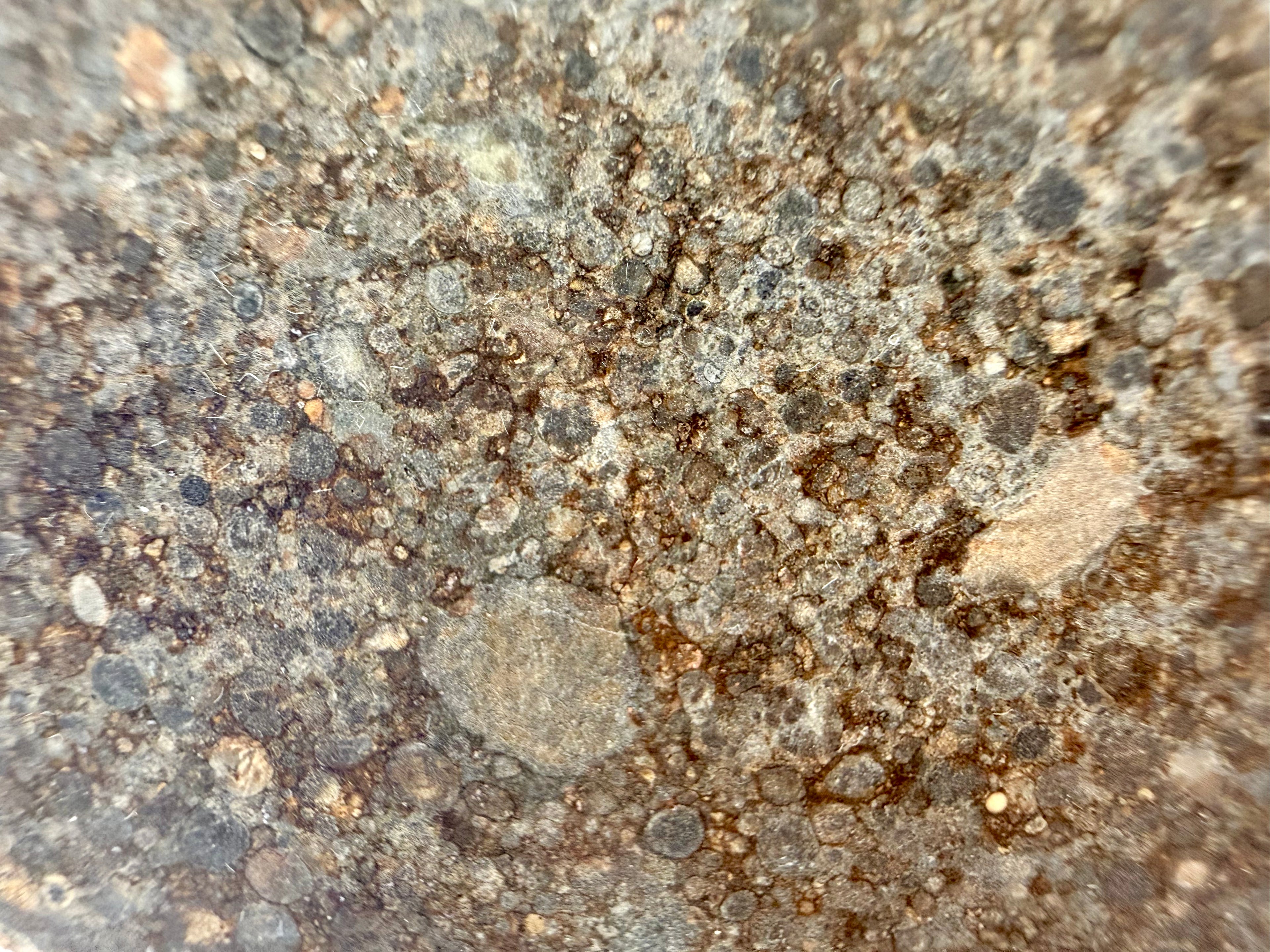 NWA 12009 ordinary chondrite 16.91g -- Type 3 unequilibrated texture with visible spherical chondrule cross-sections