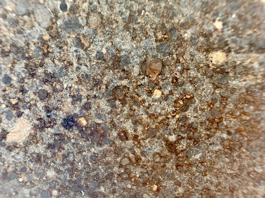NWA 12009 LL3 meteorite 16.91g -- fine-grained matrix surrounding individual chondrules under polish