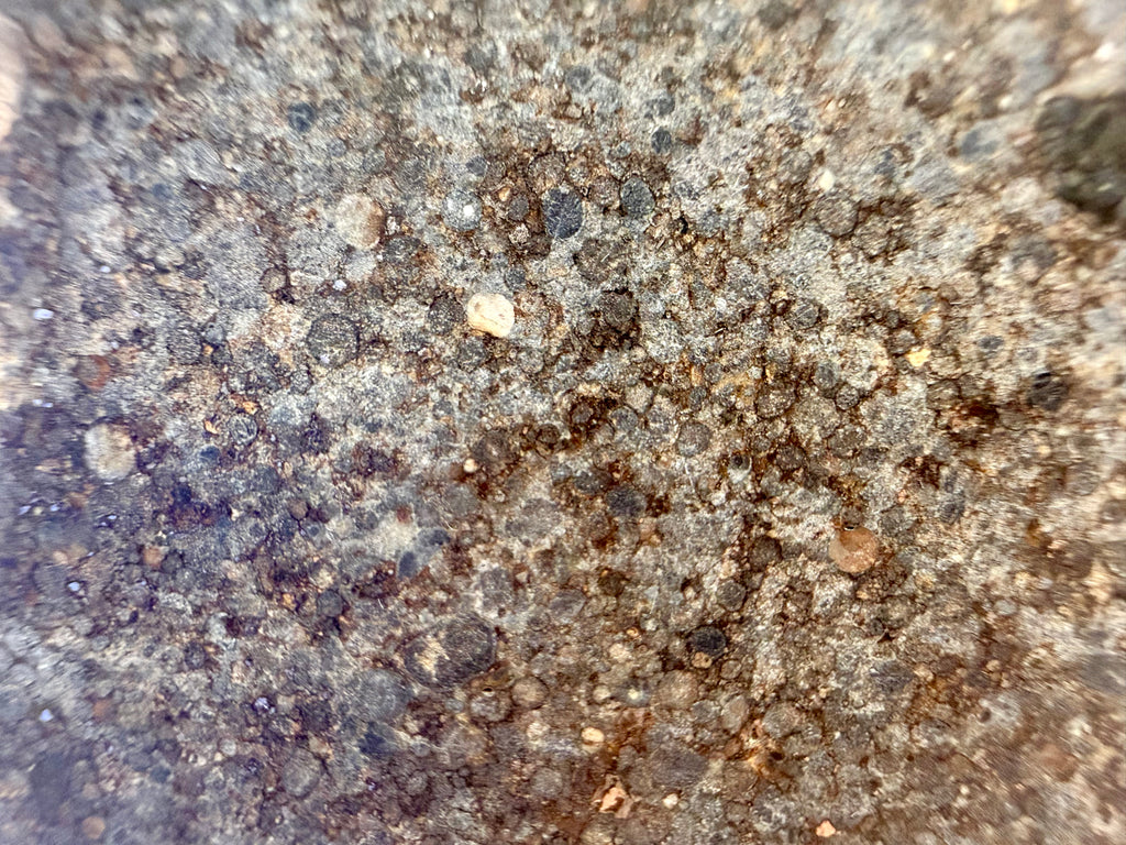 NWA 12009 LL3 ordinary chondrite 16.91g -- full slice displaying distribution of chondrules in polished specimen
