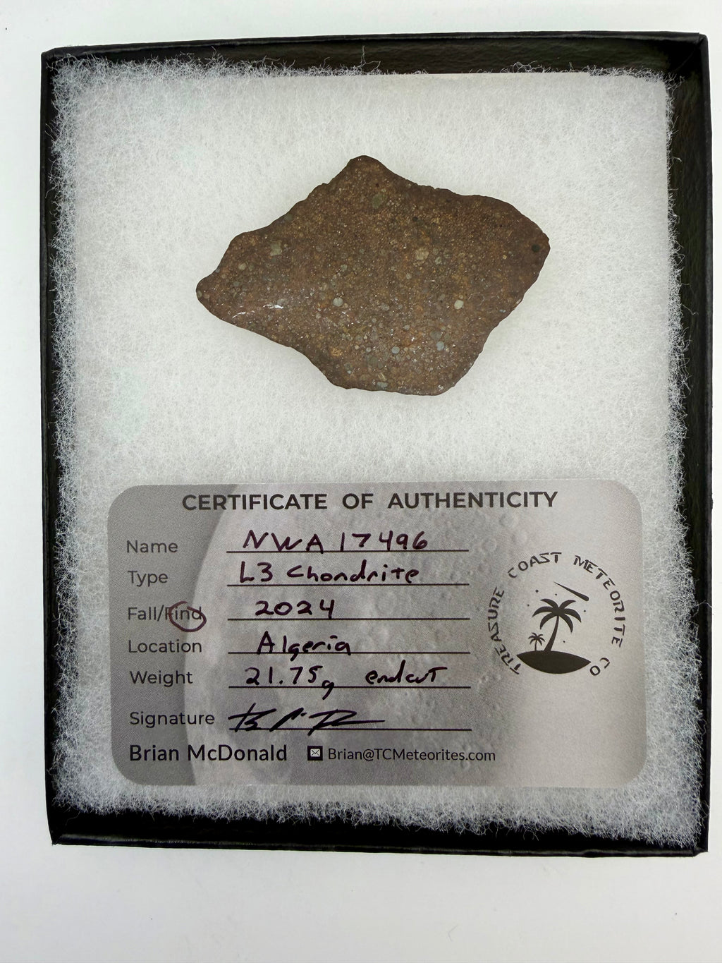 NWA 17496 L3 chondrite meteorite end cut 21.75g in riker display case -- primitive ordinary chondrite, Treasure Coast Meteori