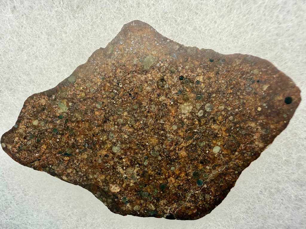 NWA 17496 L3 chondrite 21.75g -- polished surface showing individual chondrules and fine-grained matrix texture