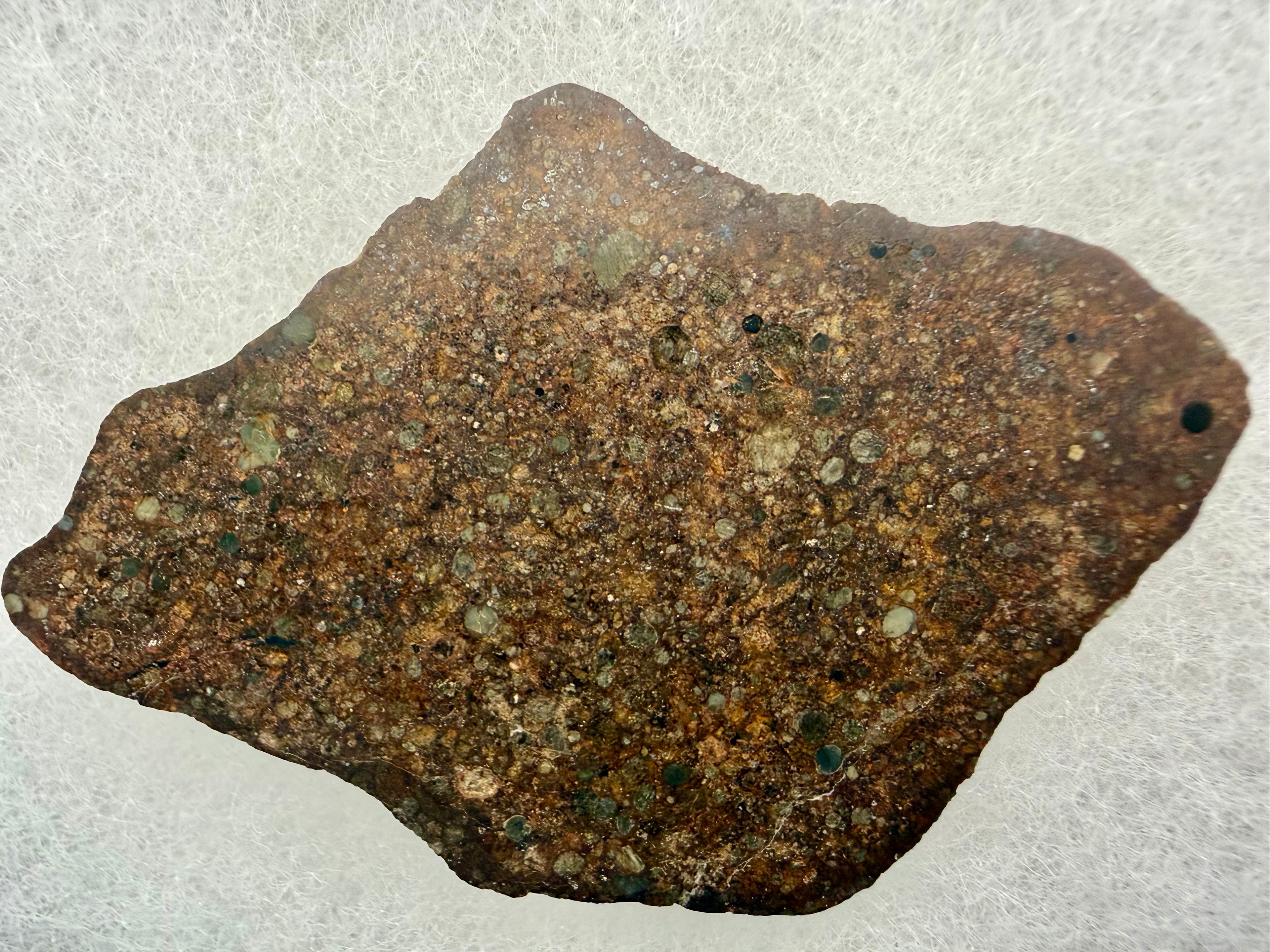 NWA 17496 L3 chondrite 21.75g -- polished surface showing individual chondrules and fine-grained matrix texture