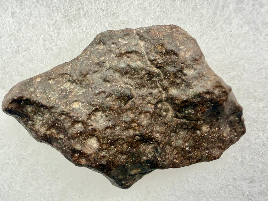 NWA 17496 ordinary chondrite 21.75g -- chondrule boundaries and unequilibrated silicate matrix in cross-section