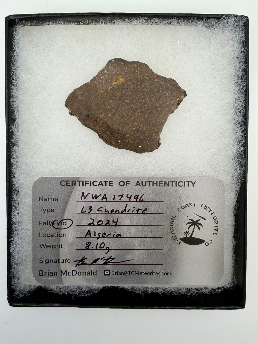 NWA 17496 L3 ordinary chondrite meteorite slice 8.10g in riker display case -- primitive solar system material, Treasure Coas