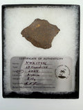 NWA 17496 L3 ordinary chondrite meteorite slice 8.10g in riker display case -- primitive solar system material, Treasure Coas