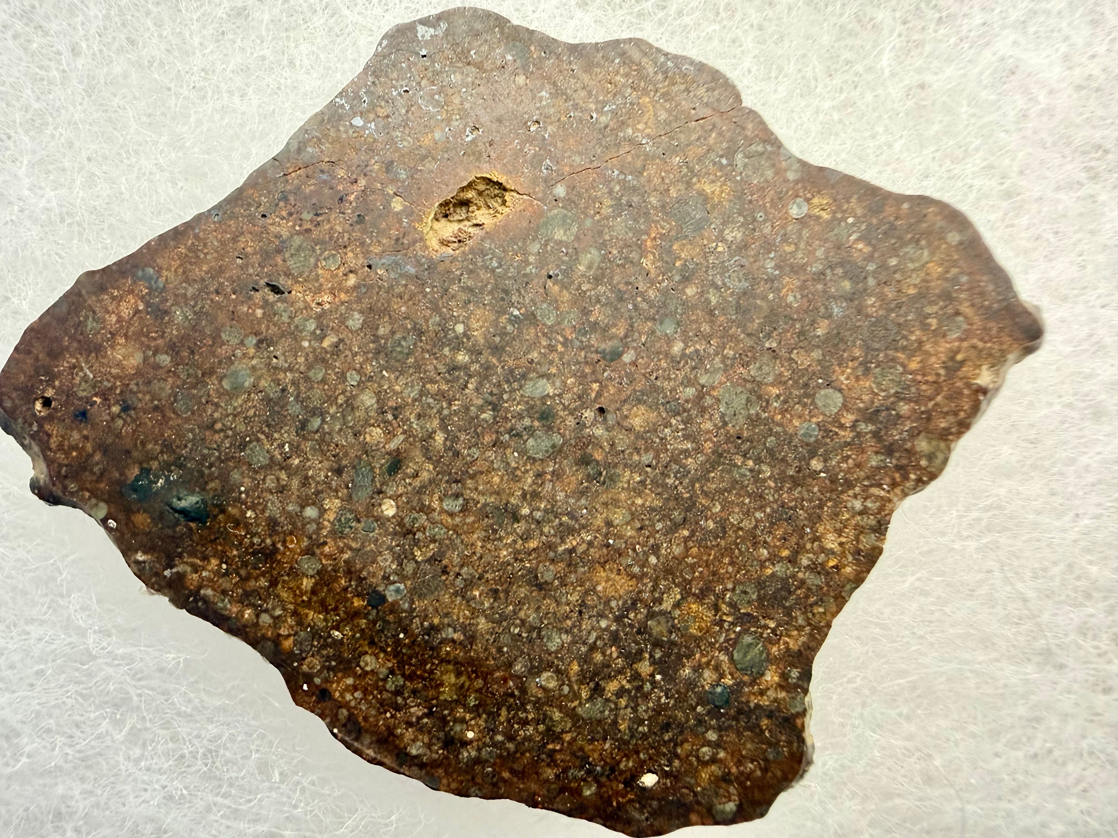 NWA 17496 L3 chondrite 8.10g -- individual chondrules visible in polished matrix under riker case lid