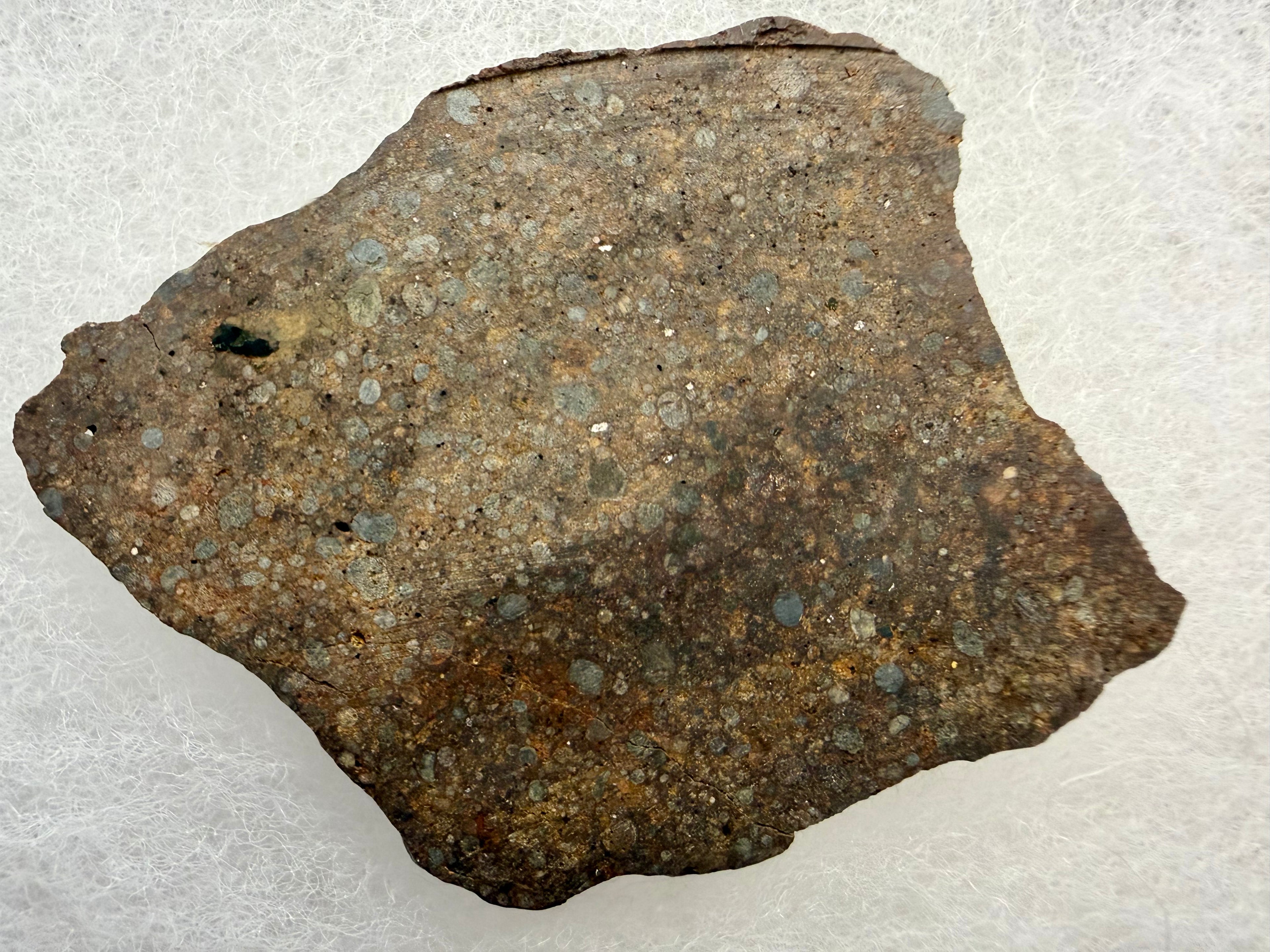 NWA 17496 ordinary chondrite 8.10g -- Type 3 unequilibrated texture showing chondrule boundaries and metal grains