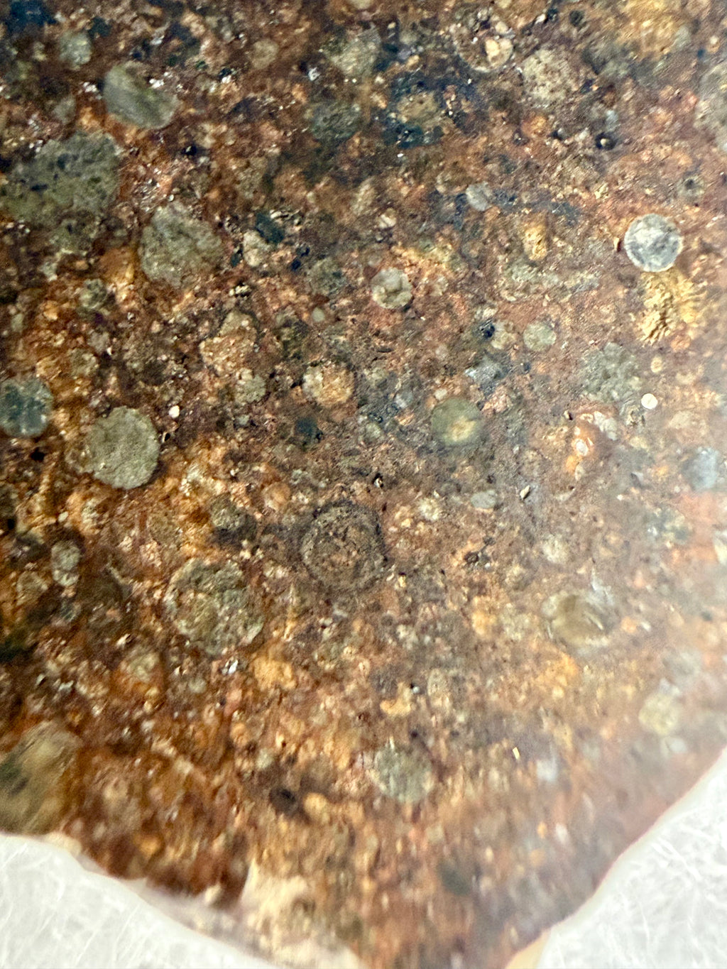 NWA 17496 L3 meteorite slice 8.10g -- primitive chondrite structure in professional foam-backed riker mount