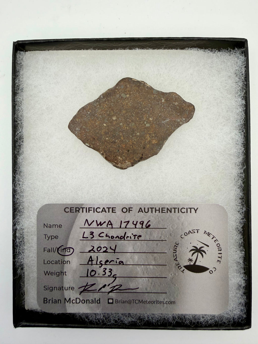 NWA 17496 L3 chondrite meteorite slice 10.33g in riker display case -- primitive ordinary chondrite with preserved chondrules