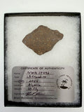 NWA 17496 L3 chondrite meteorite slice 10.33g in riker display case -- primitive ordinary chondrite with preserved chondrules