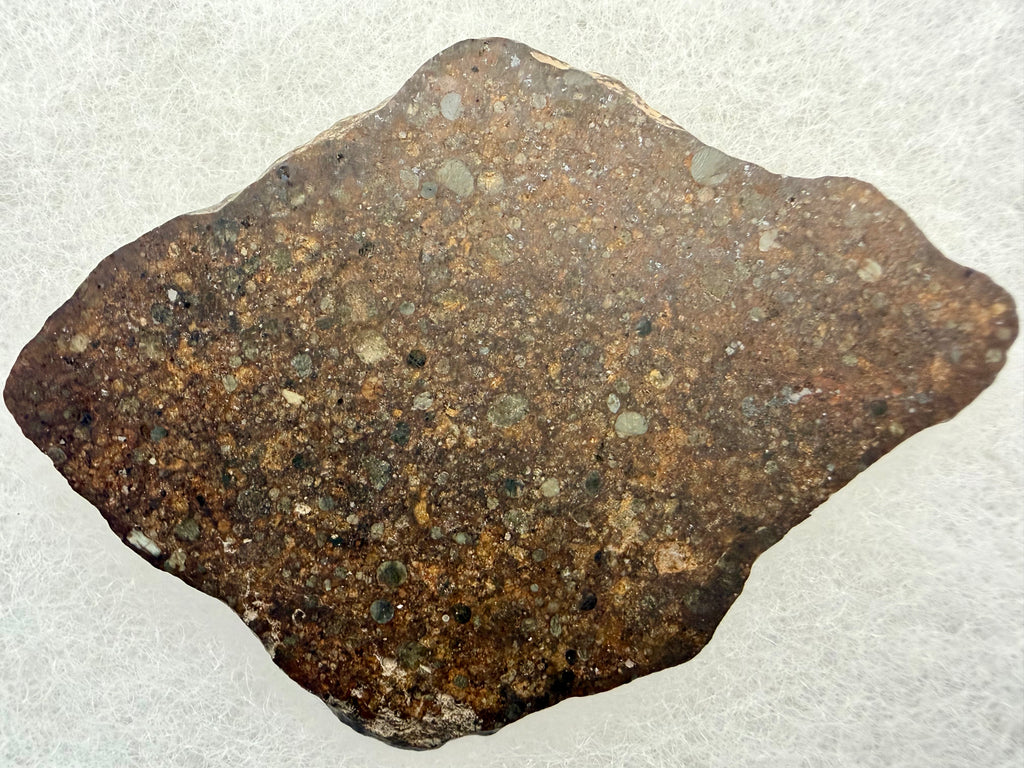 NWA 17496 L3 chondrite 10.33g -- polished surface showing spherical chondrules and fine-grained matrix structure