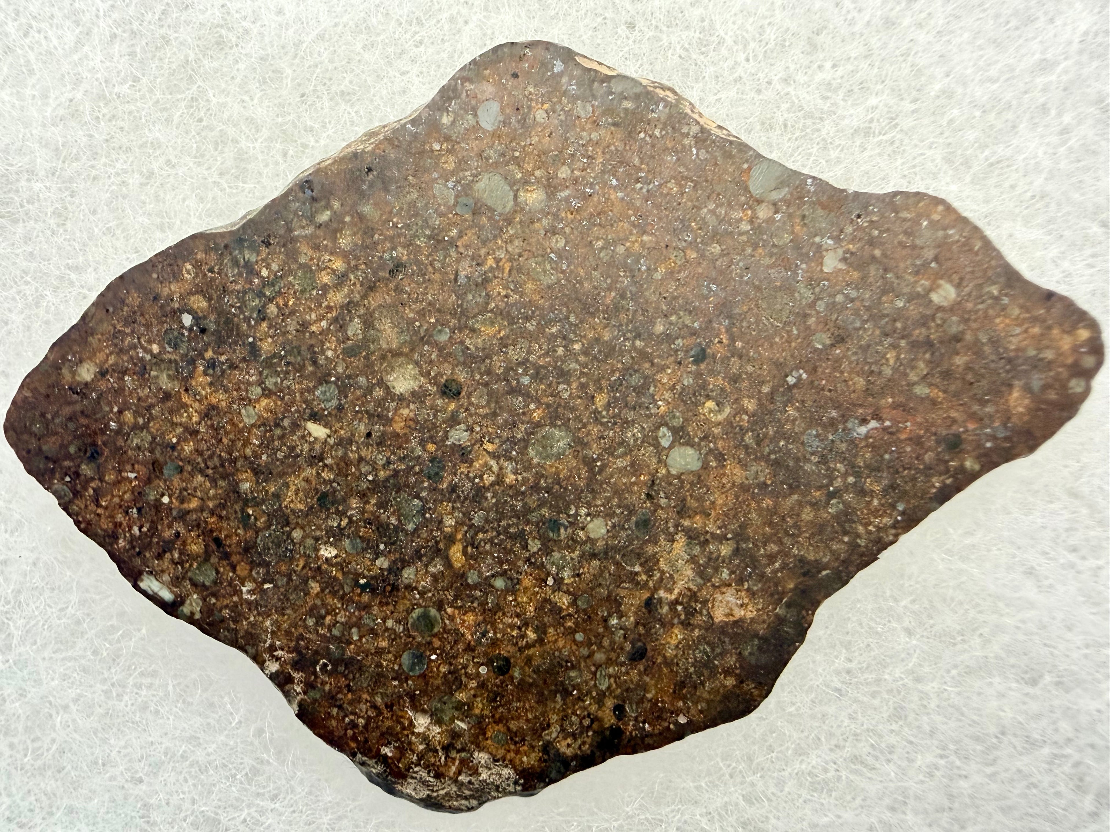 NWA 17496 L3 chondrite 10.33g -- polished surface showing spherical chondrules and fine-grained matrix structure