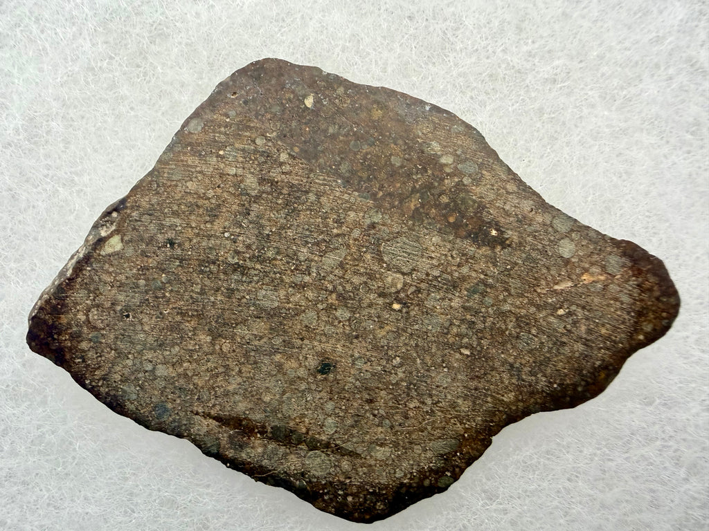 NWA 17496 ordinary chondrite 10.33g -- chondrule cross-sections revealing internal crystal textures and rim boundaries