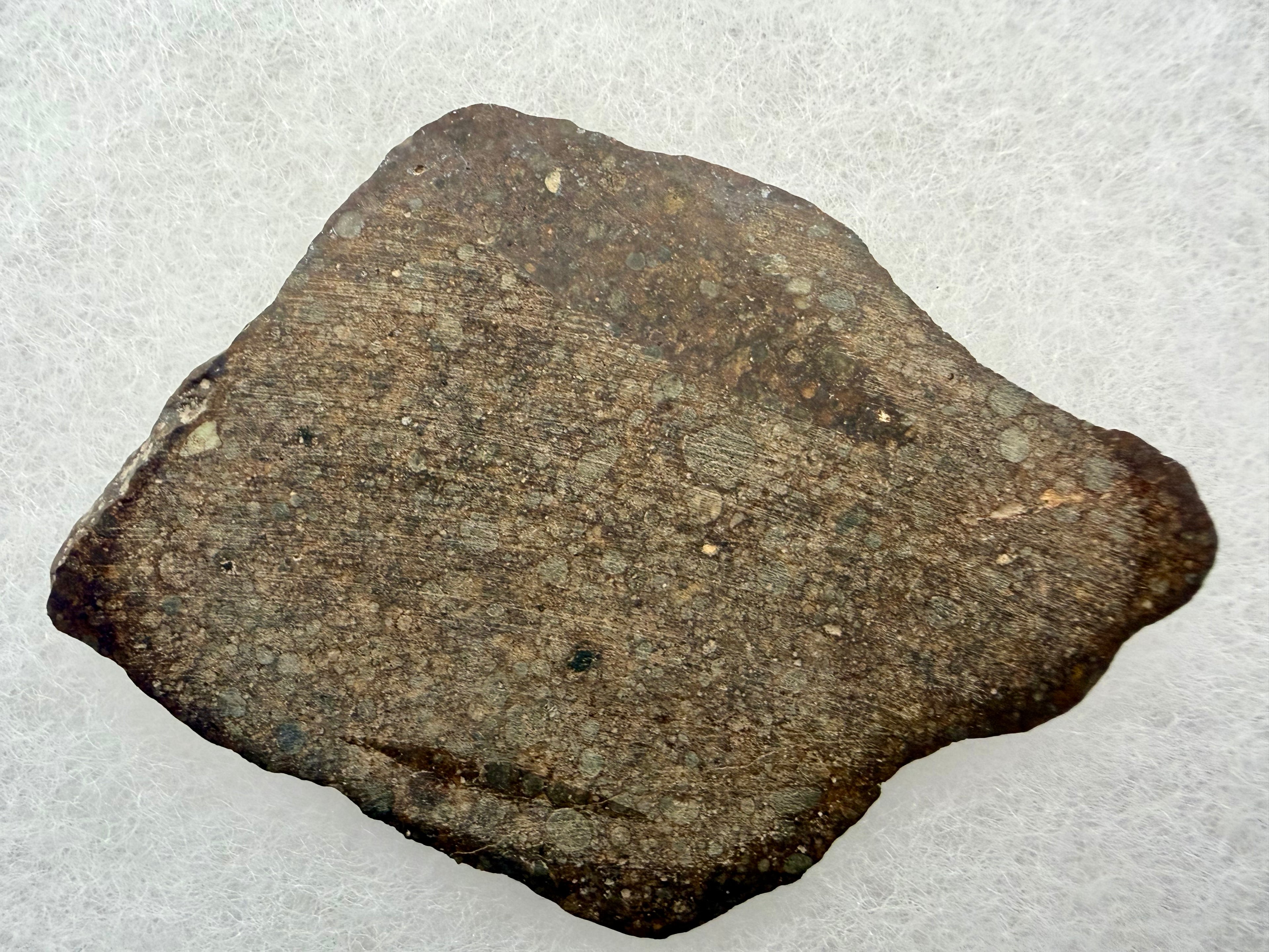 NWA 17496 ordinary chondrite 10.33g -- chondrule cross-sections revealing internal crystal textures and rim boundaries