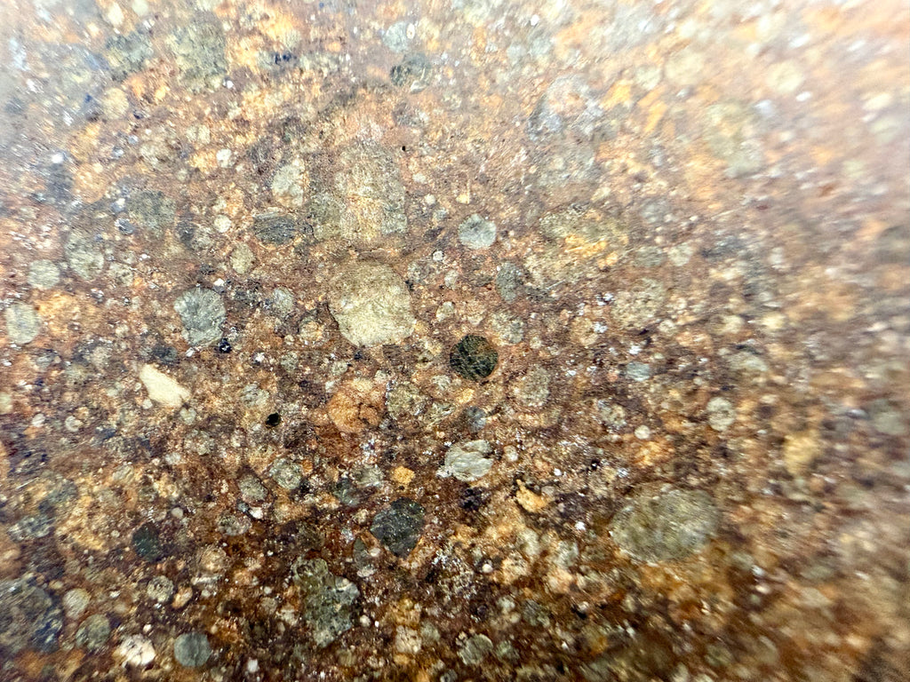 NWA 17496 L3 meteorite slice 10.33g -- distribution of chondrules and metal grains across polished chondrite surface