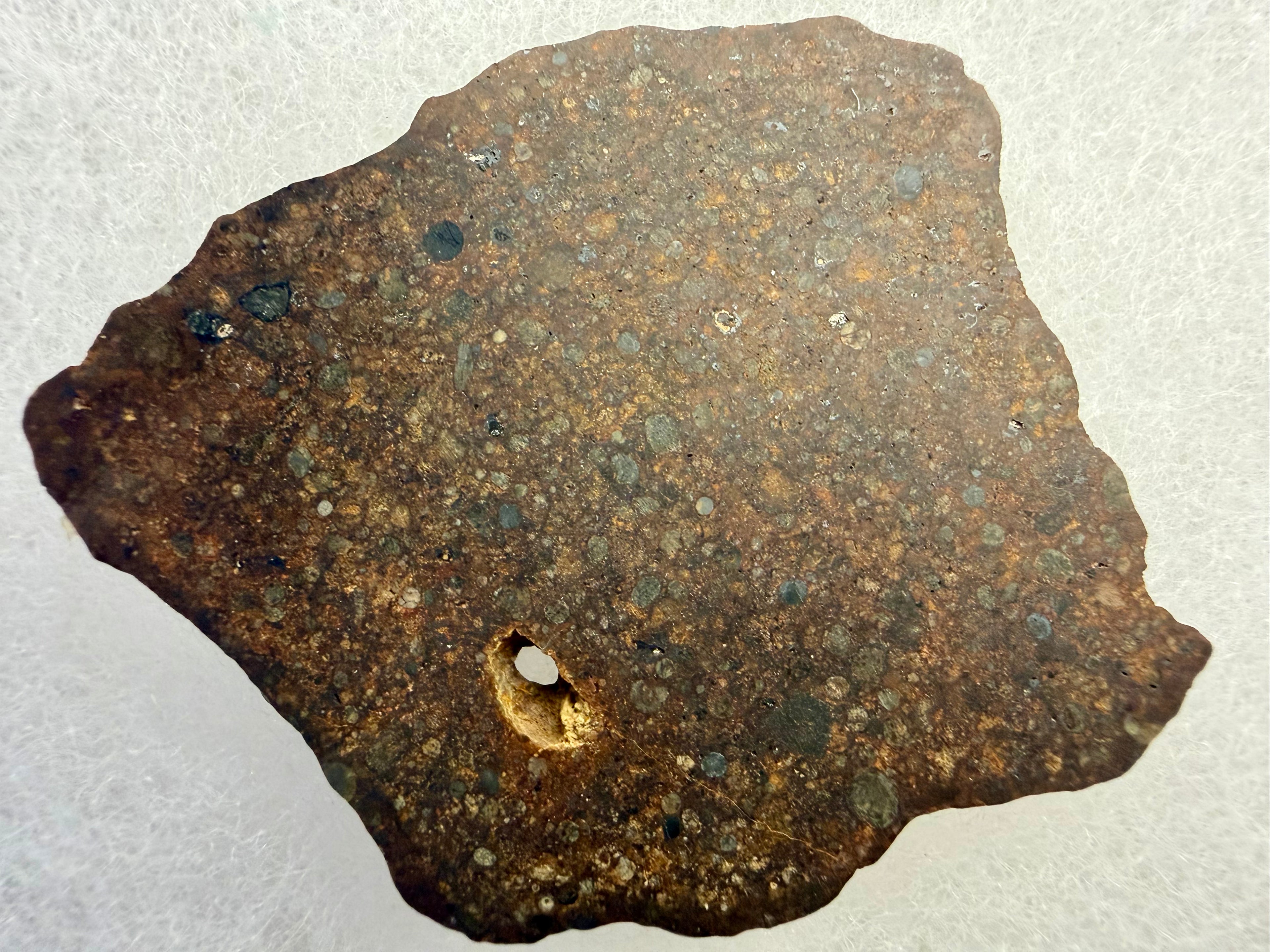 NWA 17496 chondrite 17.40g -- polished surface showing spherical chondrules and metal grains in fine matrix