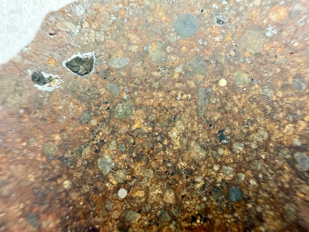 NWA 17496 L3 meteorite 17.40g -- chondrule boundaries and textural detail under polish in riker case presentation
