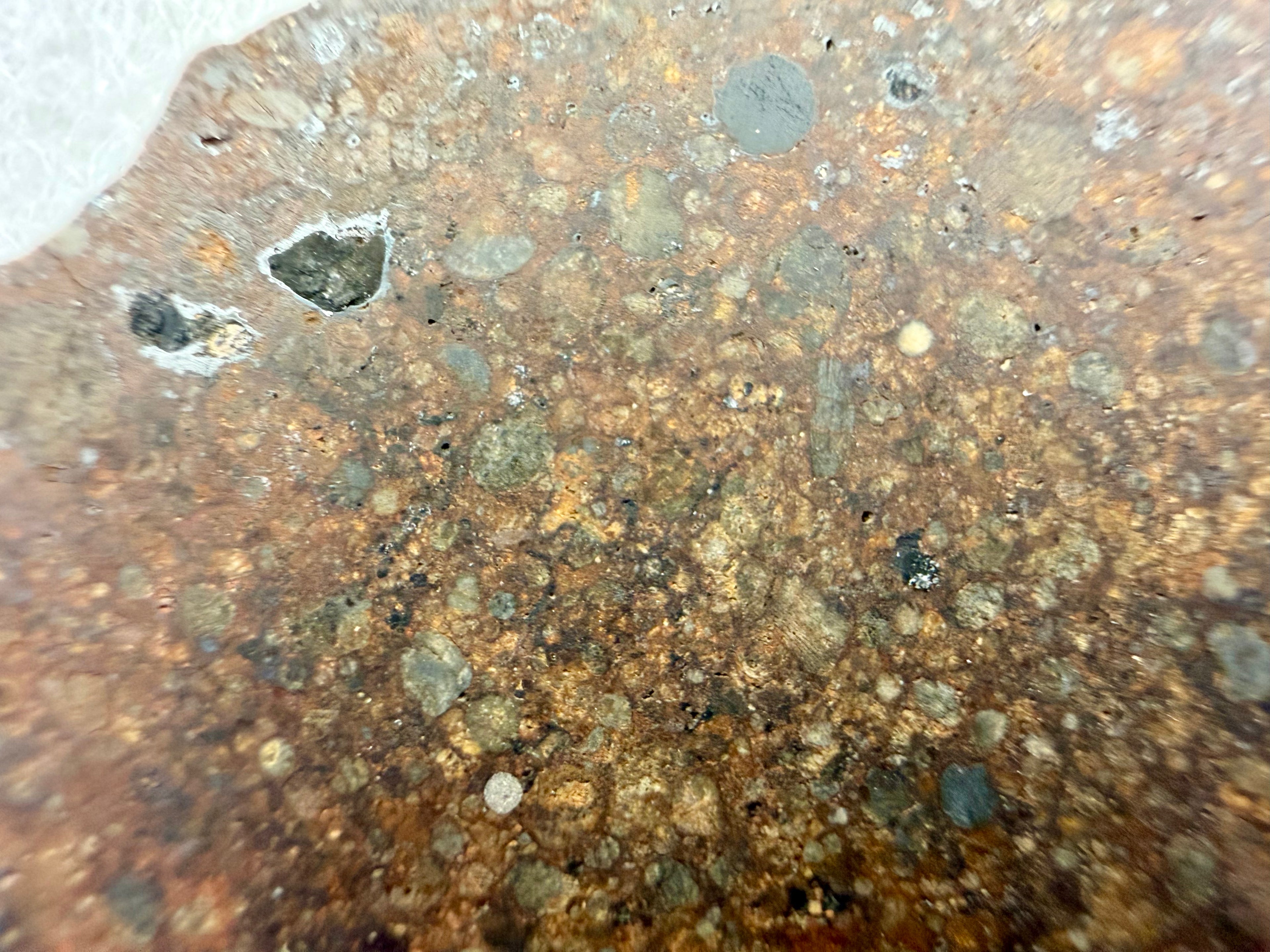 NWA 17496 L3 meteorite 17.40g -- chondrule boundaries and textural detail under polish in riker case presentation