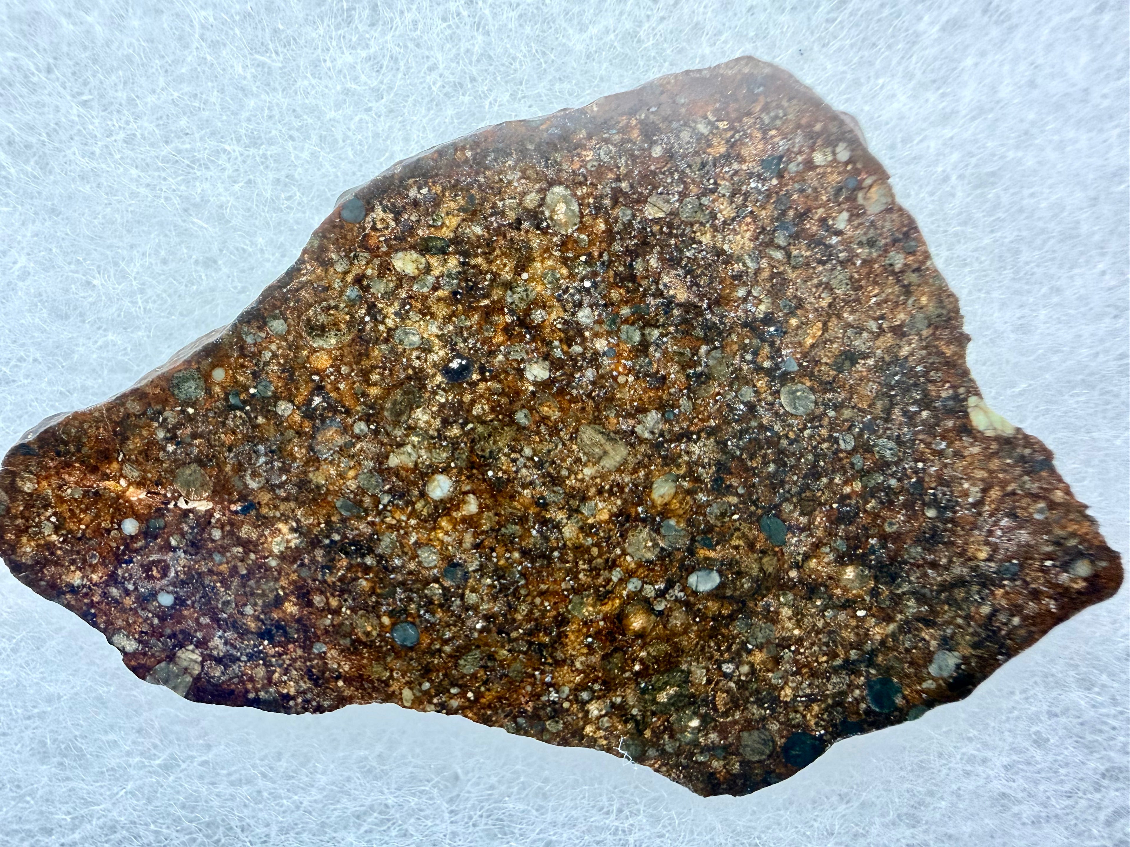 NWA 17496 chondrite 13.23g -- polished surface showing individual chondrules and metal grains in unequilibrated matrix