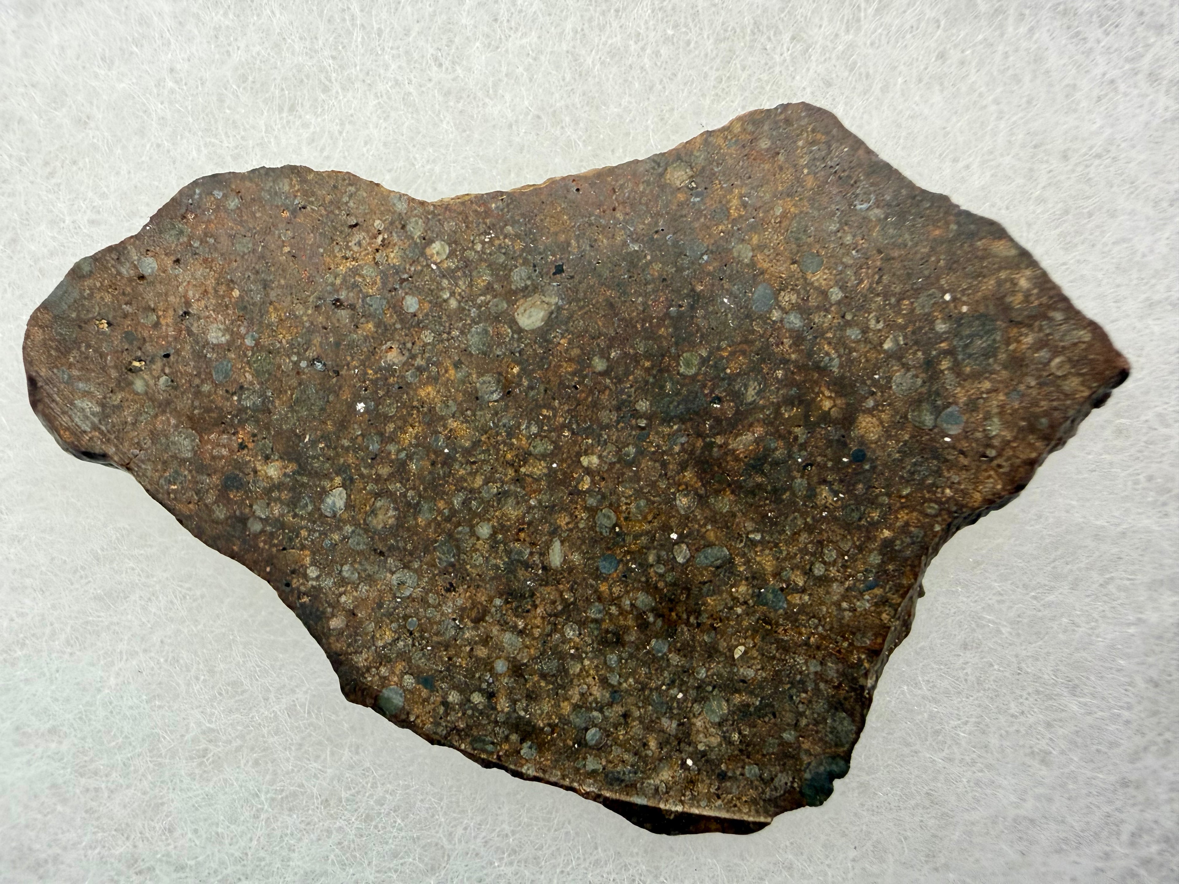 NWA 17496 L3 meteorite 13.23g -- chondrule population and fine-grained silicate matrix under polish