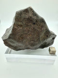 NWA XXX Ordinary Chondrite Meteorite Individual, unclassified, 820.15g, Flight Oriented with Contraction Cracks