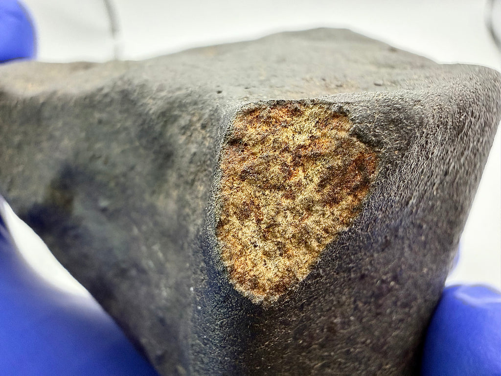 NWA XXX chondrite 820.15g -- oblique view of oriented individual showing regmaglypt depth and spacing patterns